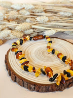 Collier de dentition ambre multicolore