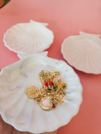 Coquille St jacques
