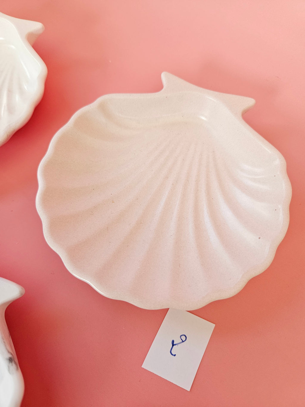 Coquille St jacques