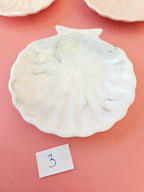 Coquille St jacques