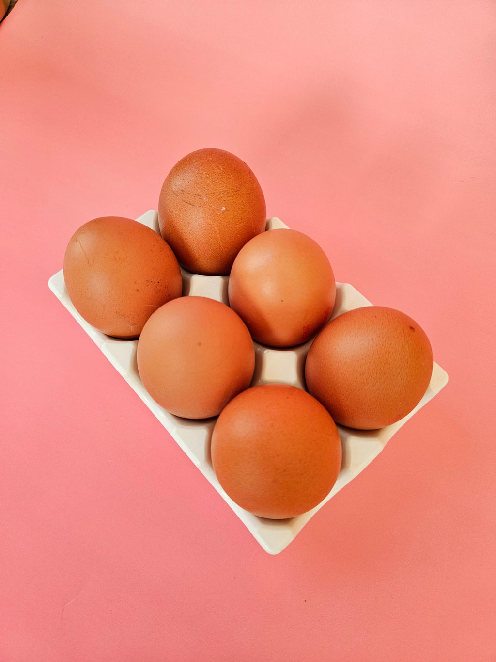 Support oeuf !