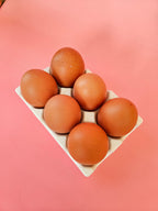 Support oeuf !
