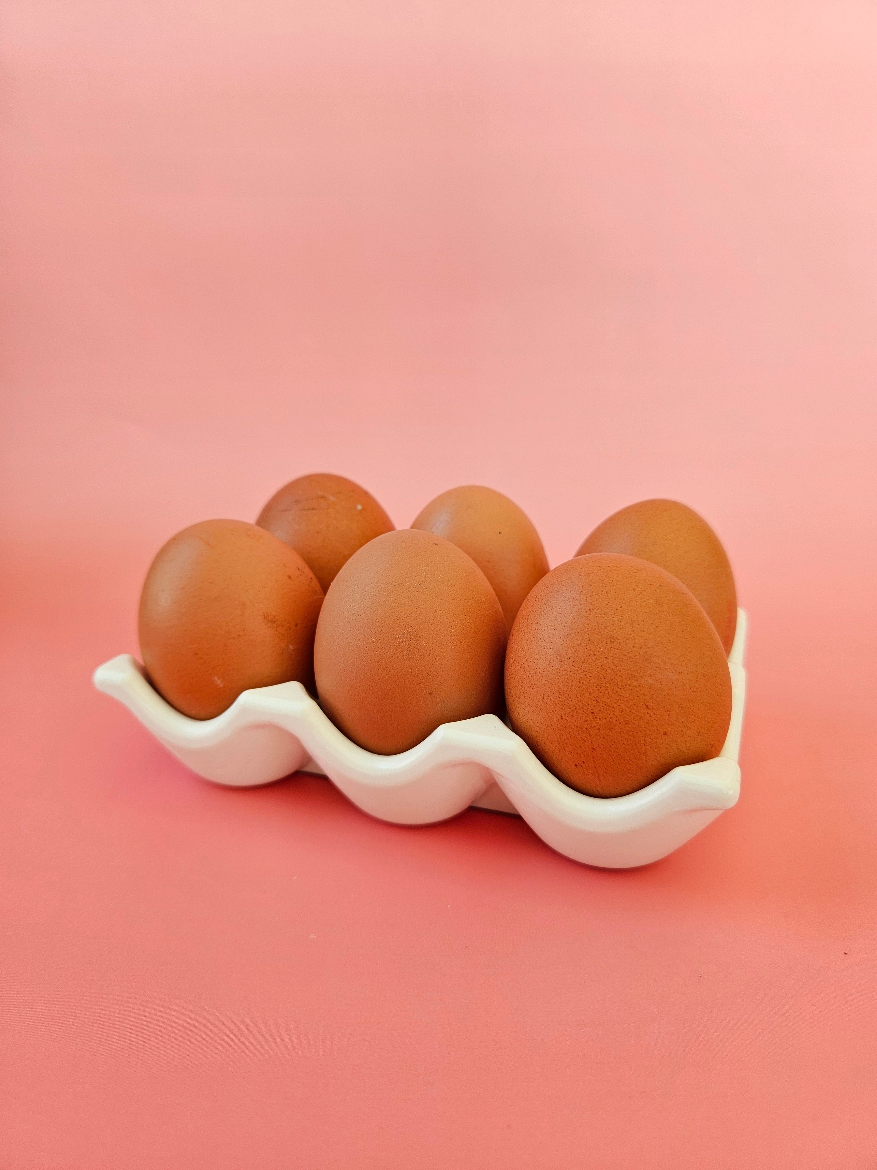 Support oeuf !