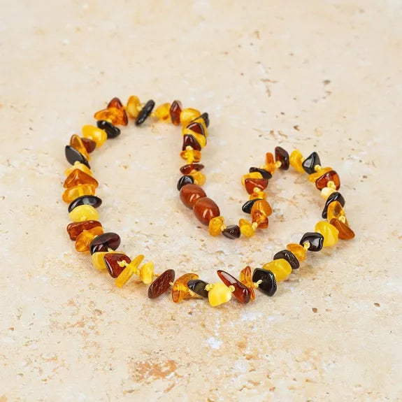Collier de dentition ambre multicolore