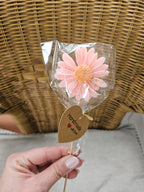 Sucette marguerite !